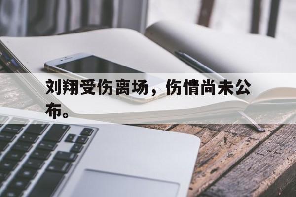 开云平台-刘翔受伤离场，伤情尚未公布。