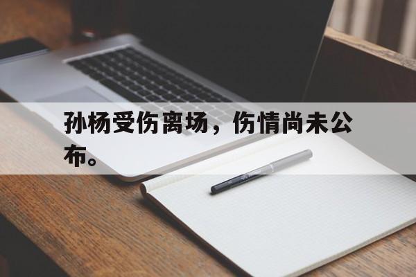 开云,kaiyun-孙杨受伤离场，伤情尚未公布。