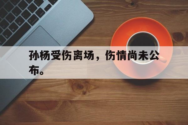 开云平台-孙杨受伤离场，伤情尚未公布。