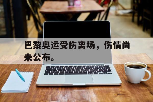 开云,kaiyun-巴黎奥运受伤离场，伤情尚未公布。